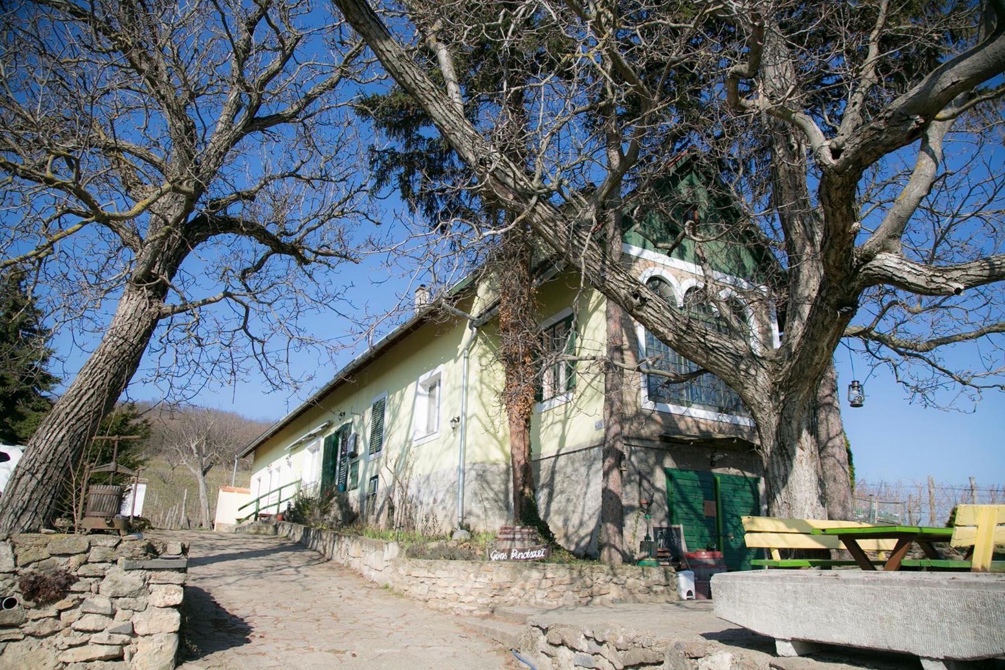 Guens Vendeghaz Hotel Szigliget Exterior photo